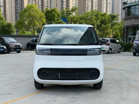 2025 MAXUS DaNa M1 BEV