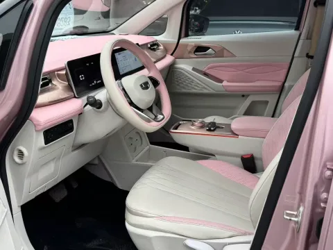 2023 Geometry E BEV 39.4KWH