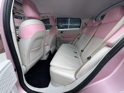 2023 Geometry E BEV 39.4KWH