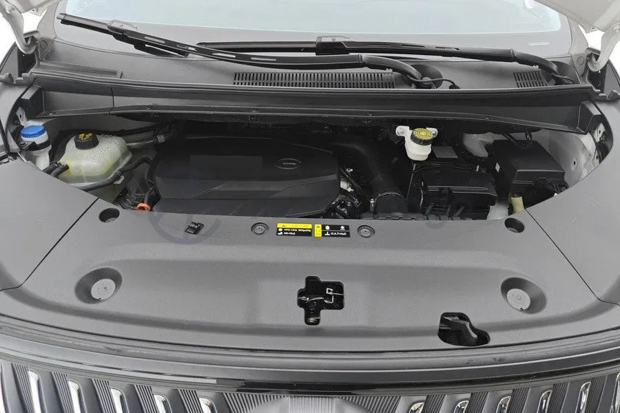 2024 GAC Trumpchi M8 2.0T 252HP L4 8AT,autocango,china used car exporter,china ev exporter,chinese used car exporter,chinese used ev exporter