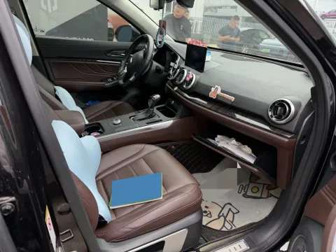 2019 WEY VV5 2.0T 224HP L4 7DCT