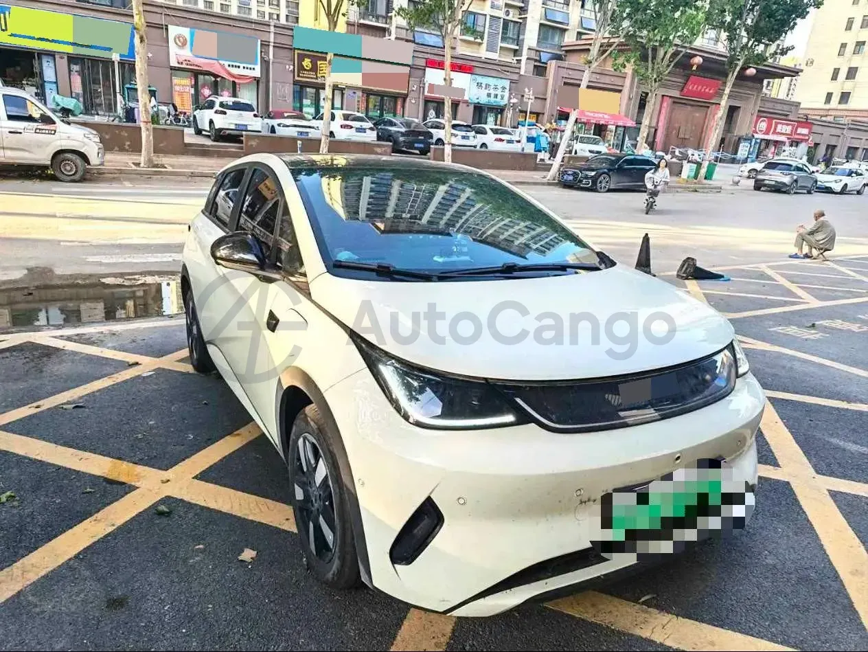 2025 BYD Dolphin BEV 45.12KWH,autocango,china used car exporter,china ev exporter,chinese used car exporter,chinese used ev exporter