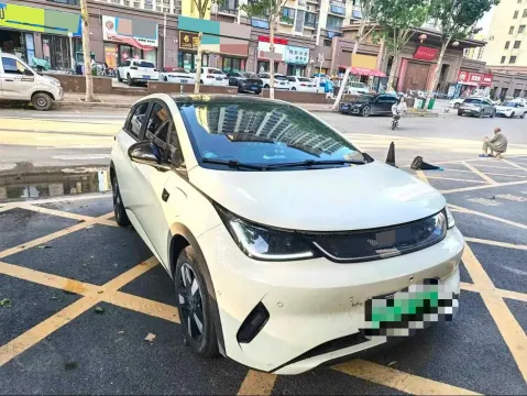 2025 BYD Dolphin BEV 45.12KWH