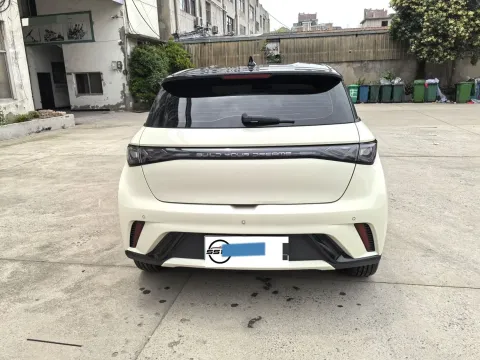 2024 BYD Dolphin BEV 44.928KWH