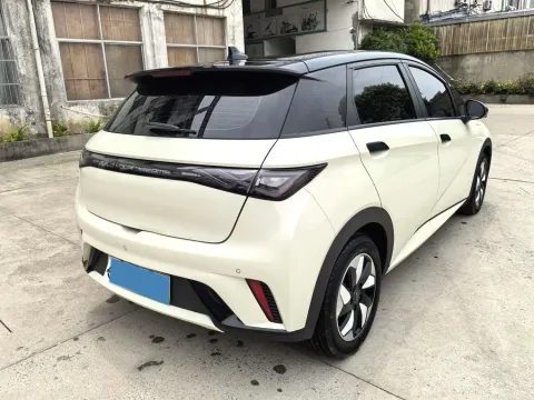 2024 BYD Dolphin BEV 44.928KWH