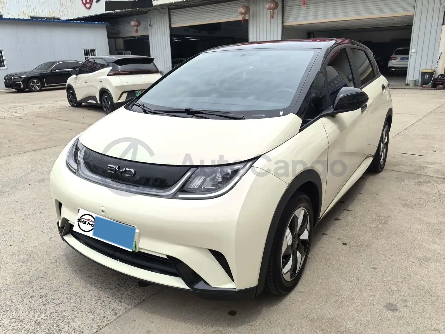 2024 BYD Dolphin BEV 44.928KWH,autocango,china used car exporter,china ev exporter,chinese used car exporter,chinese used ev exporter