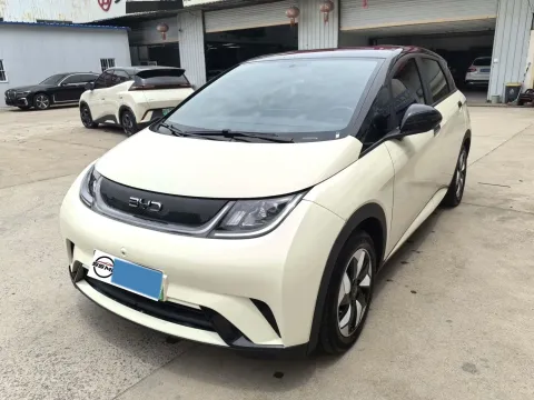 2024 BYD DOLPHIN,autocango,china used car exporter,china ev exporter,chinese used car exporter,chinese used ev exporter