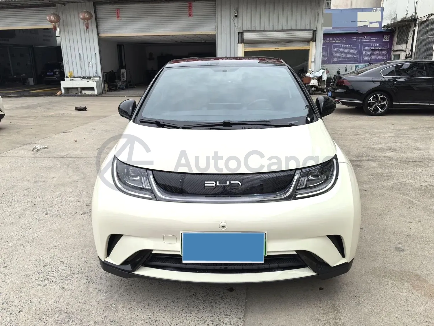 2024 BYD Dolphin BEV 44.928KWH,autocango,china used car exporter,china ev exporter,chinese used car exporter,chinese used ev exporter