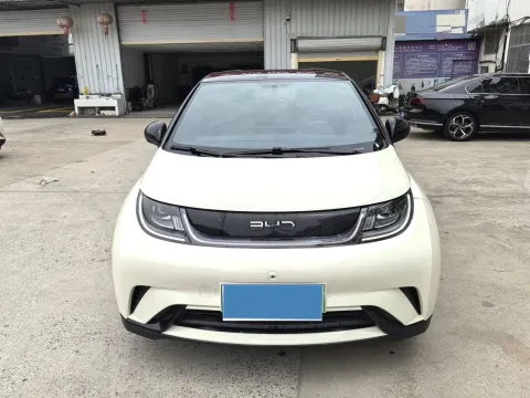 2024 BYD Dolphin BEV 44.928KWH