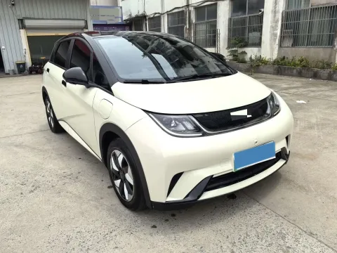 2024 BYD Dolphin BEV 44.928KWH