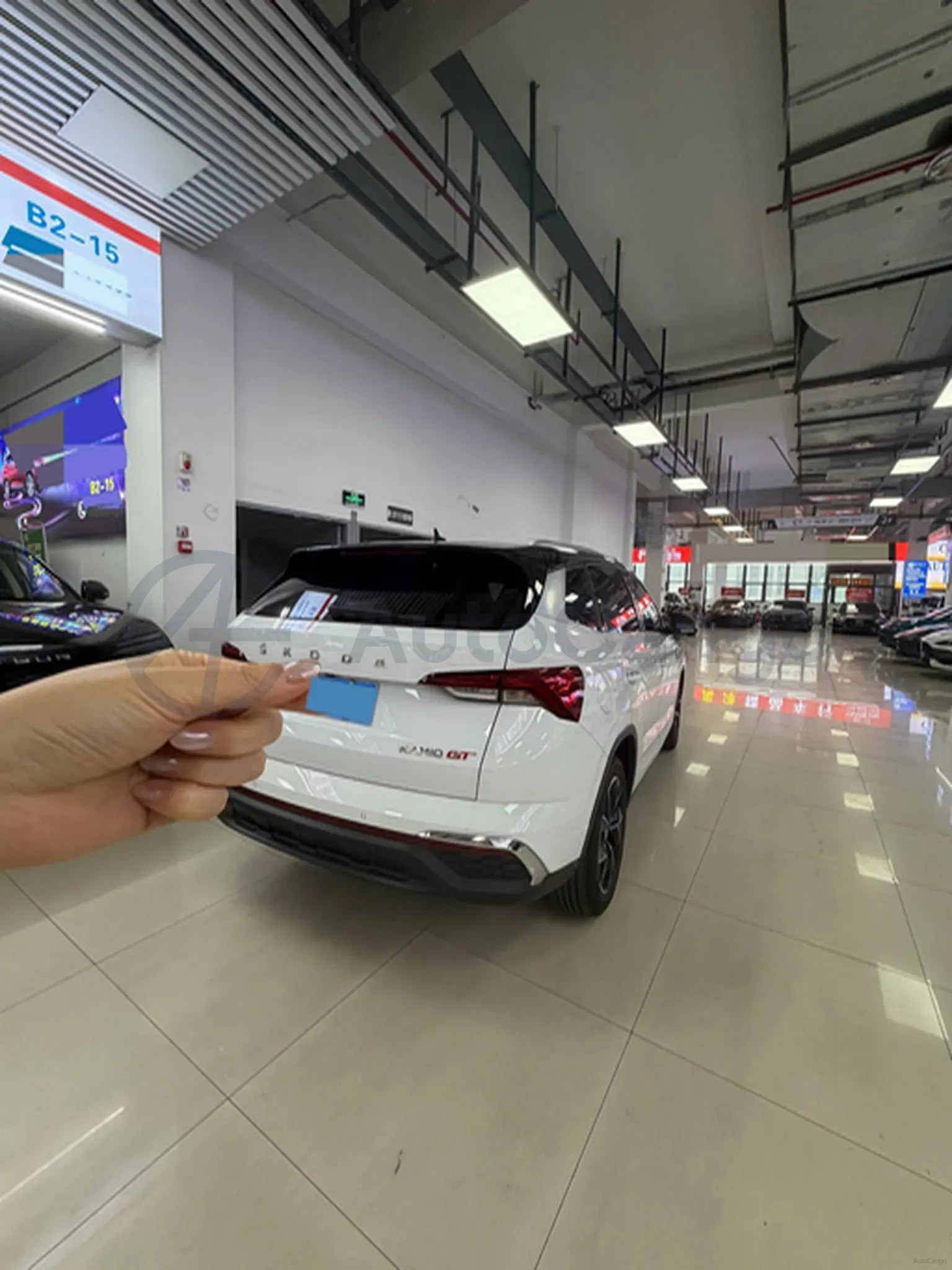 2024 Skoda Kamiq 1.5L 109HP L4 6AT,autocango,china used car exporter,china ev exporter,chinese used car exporter,chinese used ev exporter