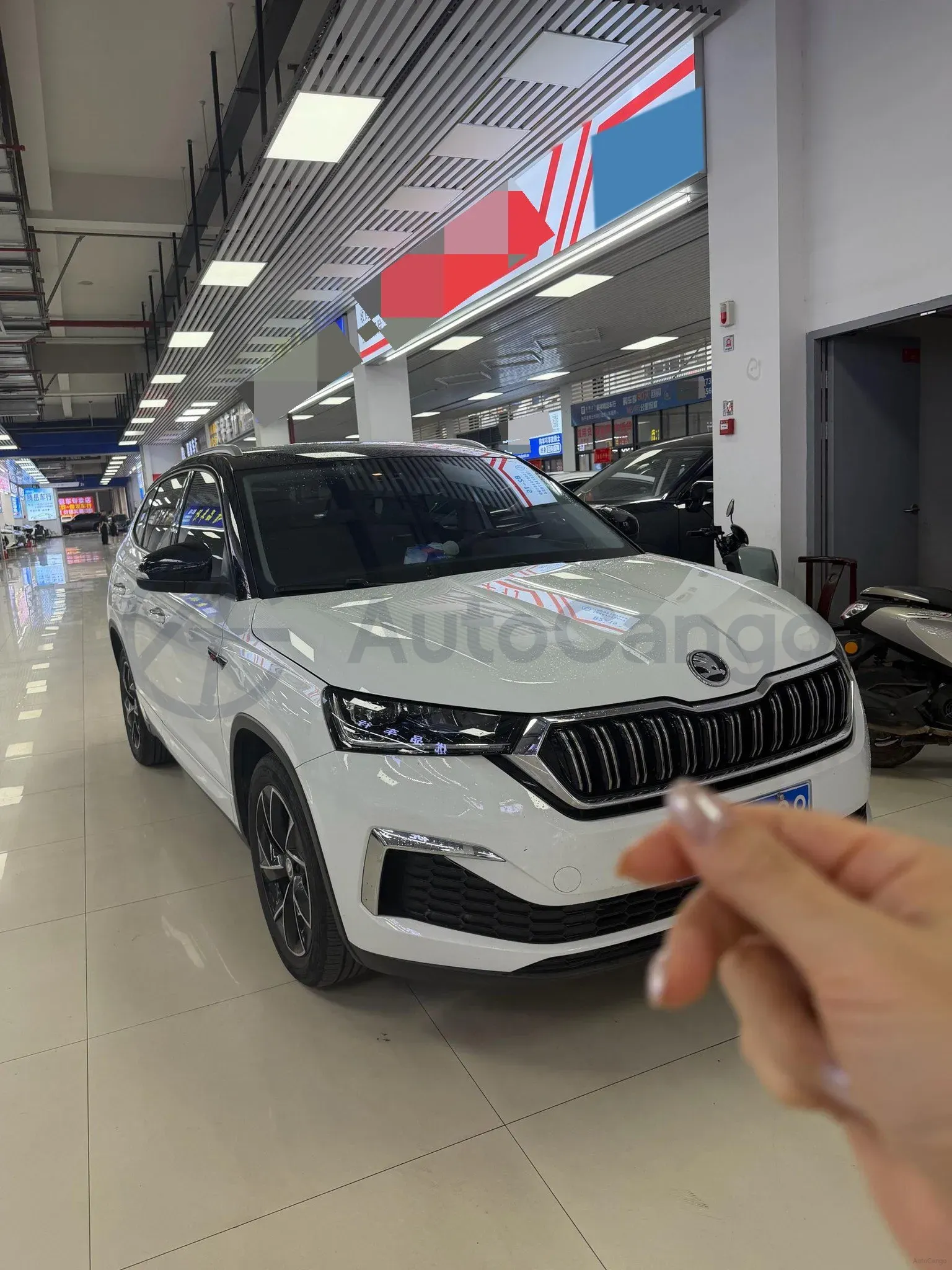 2024 Skoda Kamiq 1.5L 109HP L4 6AT,autocango,china used car exporter,china ev exporter,chinese used car exporter,chinese used ev exporter