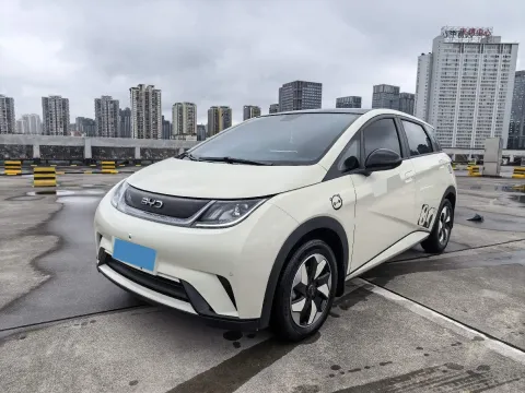 2023 BYD DOLPHIN,autocango,china used car exporter,china ev exporter,chinese used car exporter,chinese used ev exporter