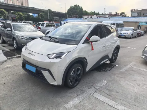 2025 BYD SEAGULL,autocango,china used car exporter,china ev exporter,chinese used car exporter,chinese used ev exporter