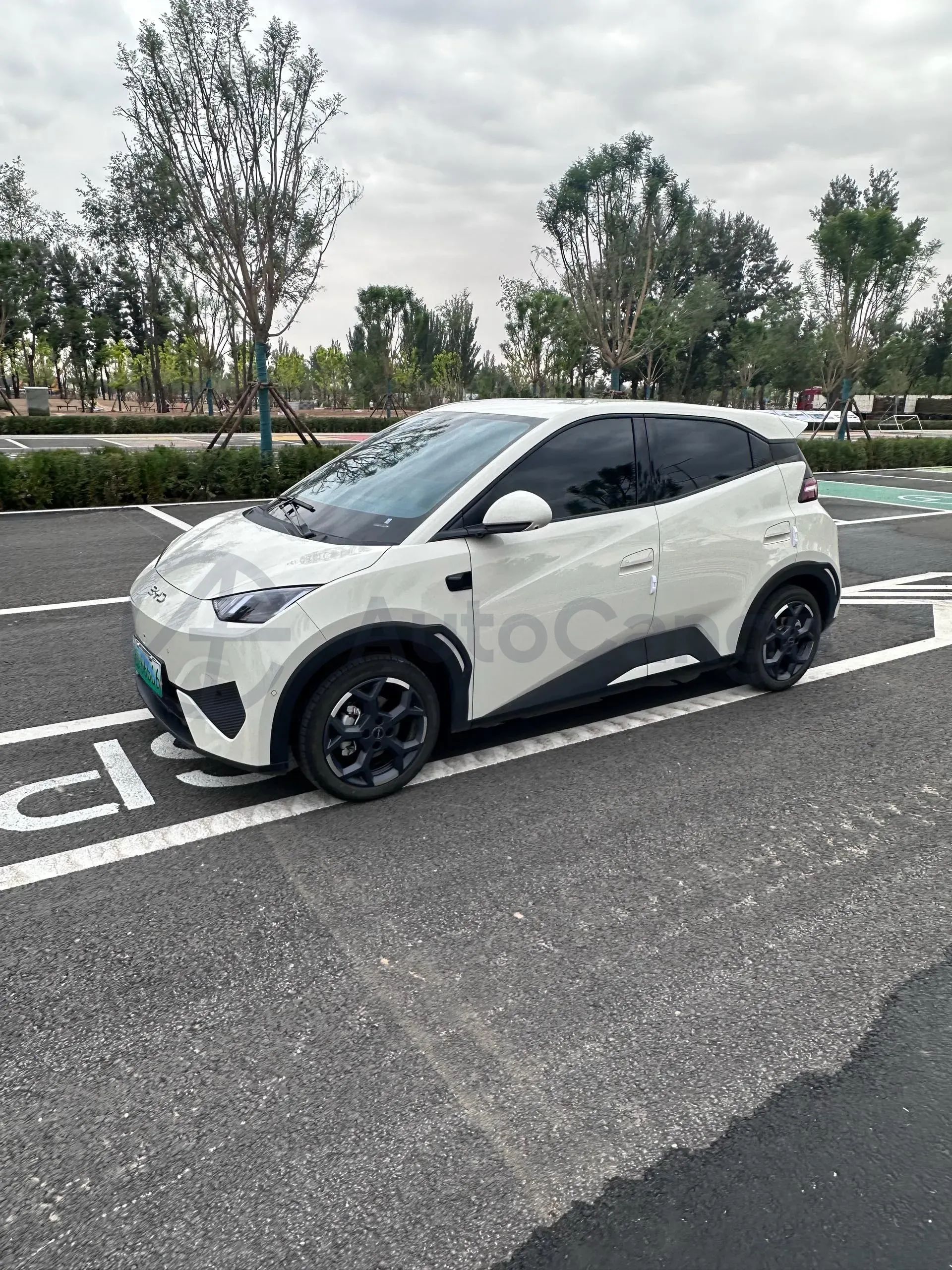 2025 BYD Seagull BEV 30.08KWH,autocango,china used car exporter,china ev exporter,chinese used car exporter,chinese used ev exporter