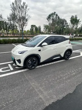 2025 BYD SEAGULL,autocango,china used car exporter,china ev exporter,chinese used car exporter,chinese used ev exporter