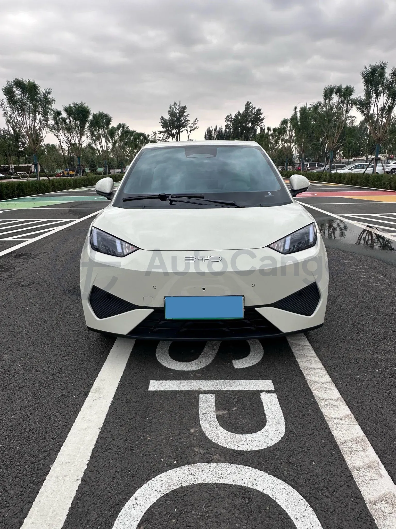 2025 BYD Seagull BEV 30.08KWH,autocango,china used car exporter,china ev exporter,chinese used car exporter,chinese used ev exporter