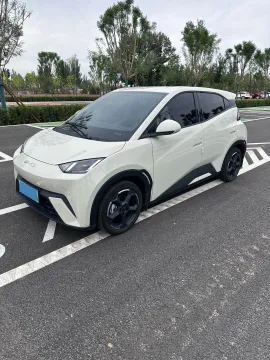 2023 BYD SEAGULL,autocango,china used car exporter,china ev exporter,chinese used car exporter,chinese used ev exporter
