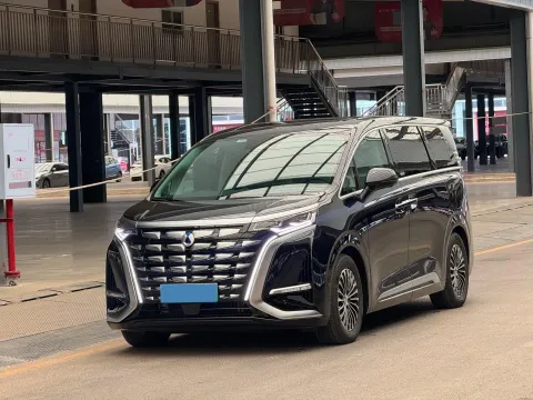 2024 DENZA D9,autocango,china used car exporter,china ev exporter,chinese used car exporter,chinese used ev exporter