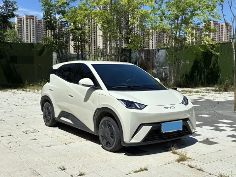 2024 BYD Seagull BEV 30.08KWH