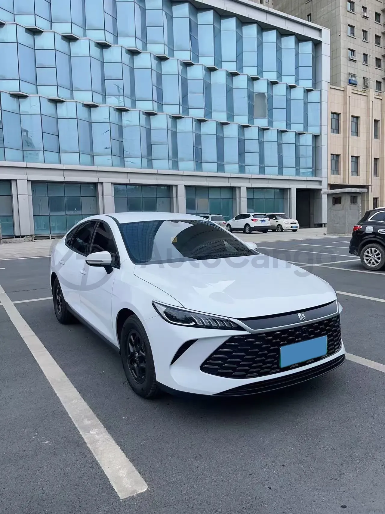 2025 BYD Seal05 DM-i 1.5L 101HP L4 E-CVT PHEV 7.68KWH,autocango,china used car exporter,china ev exporter,chinese used car exporter,chinese used ev exporter