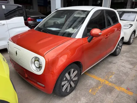 2019 ORA BLACKCAT,autocango,china used car exporter,china ev exporter,chinese used car exporter,chinese used ev exporter
