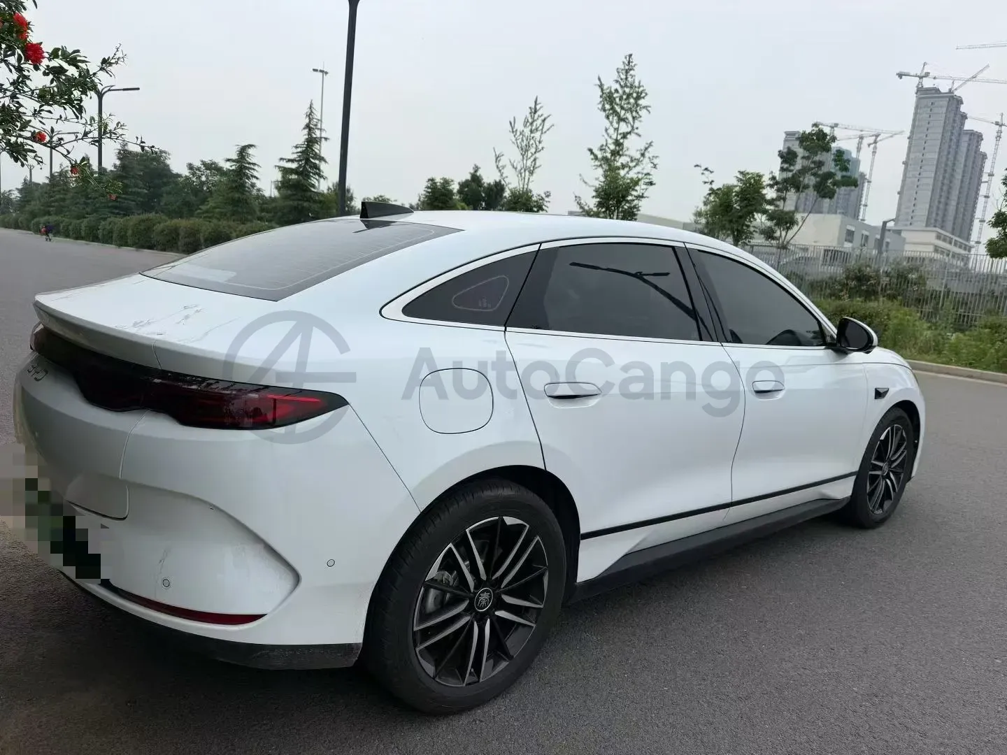 2025 BYD QinL BEV,autocango,china used car exporter,china ev exporter,chinese used car exporter,chinese used ev exporter