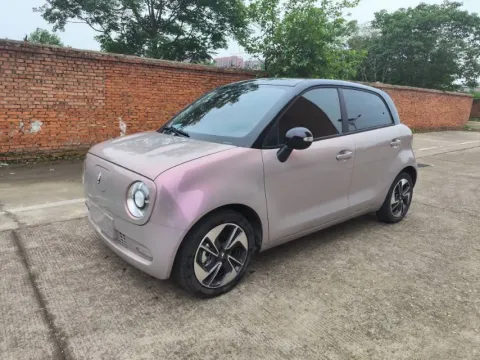 2021 ORA BLACKCAT,autocango,china used car exporter,china ev exporter,chinese used car exporter,chinese used ev exporter