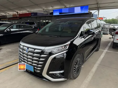 2024 DENZA D9,autocango,china used car exporter,china ev exporter,chinese used car exporter,chinese used ev exporter