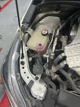 2022 Toyota Levin 1.2T 116HP L4 CVT