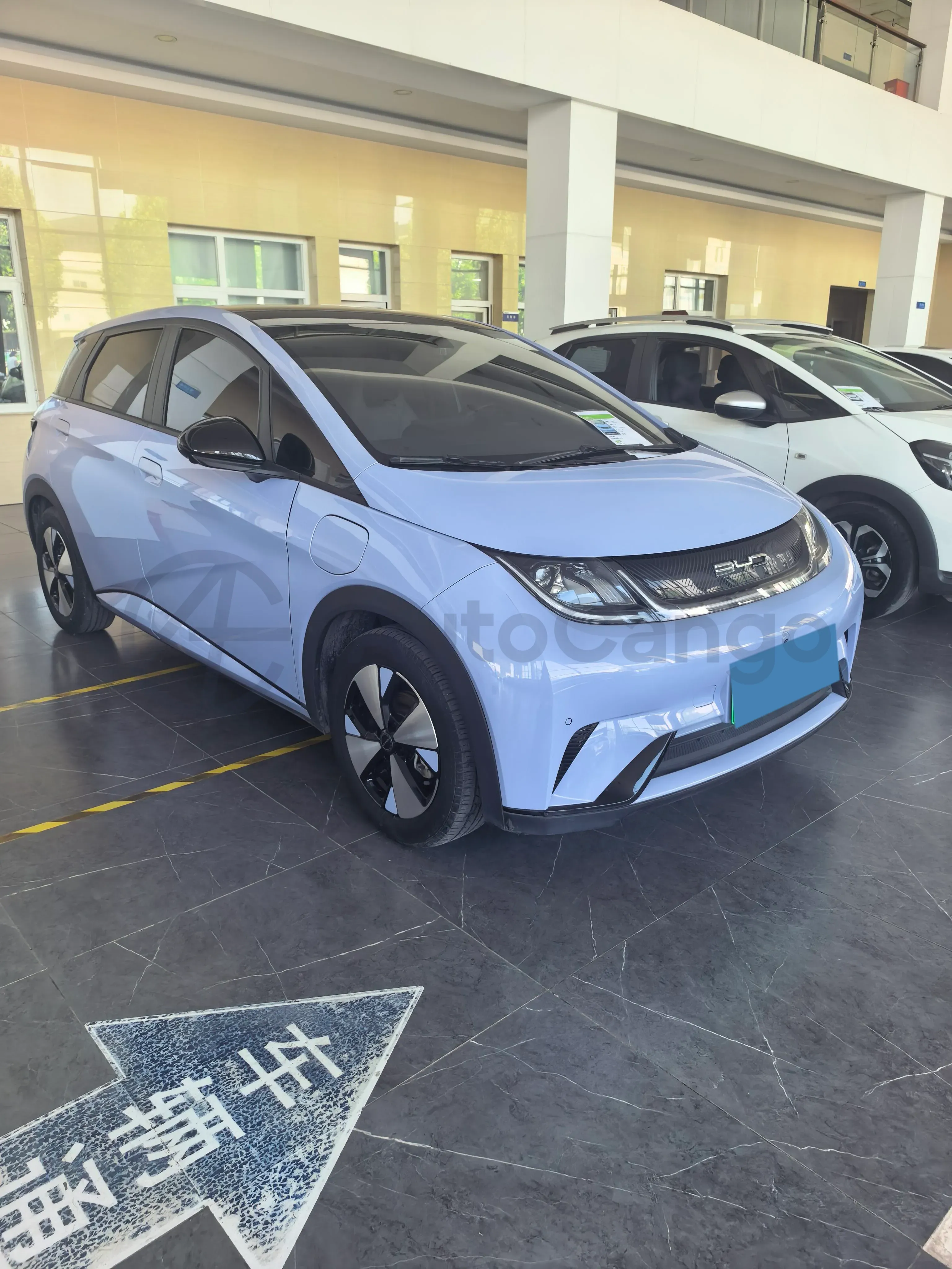 2023 BYD Dolphin BEV 44.928KWH,autocango,china used car exporter,china ev exporter,chinese used car exporter,chinese used ev exporter