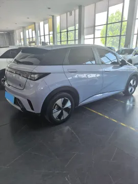 2023 BYD Dolphin BEV 44.928KWH