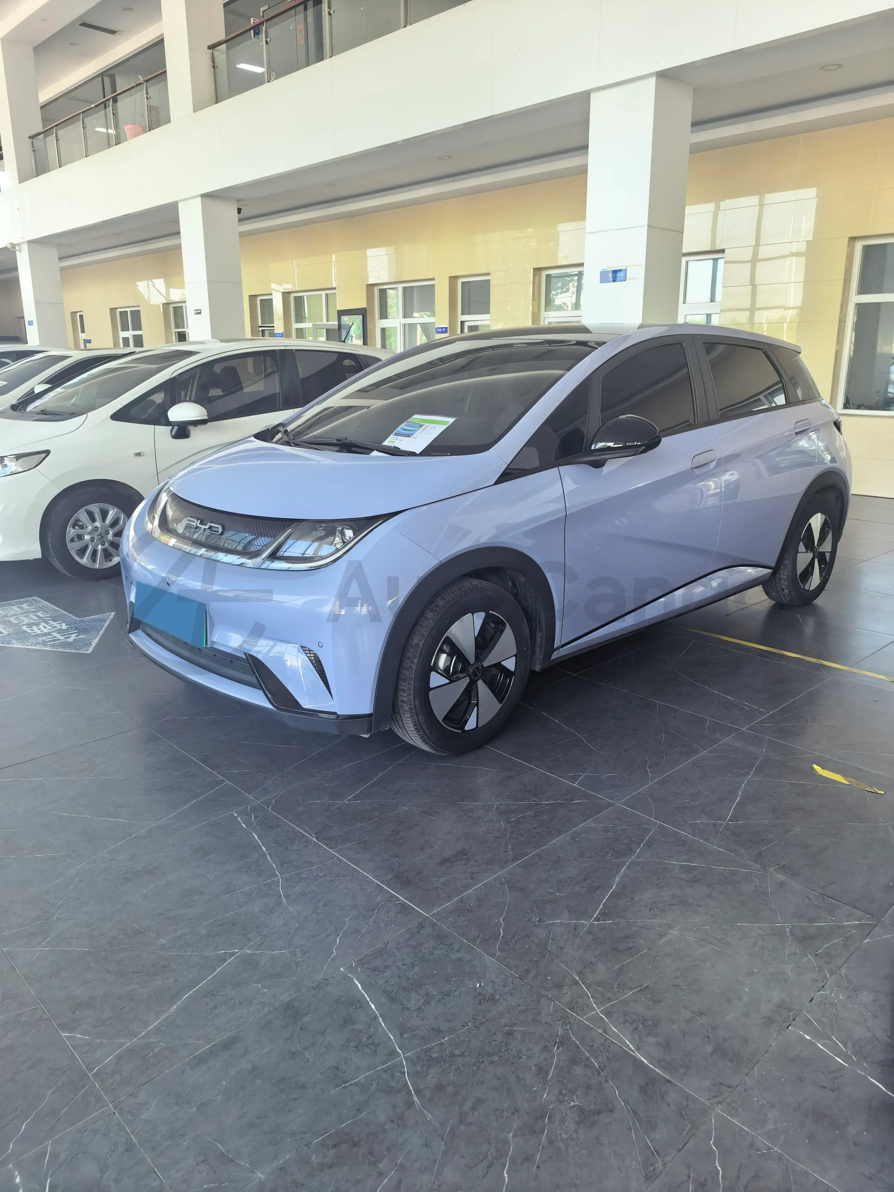 2023 BYD Dolphin BEV 44.928KWH,autocango,china used car exporter,china ev exporter,chinese used car exporter,chinese used ev exporter