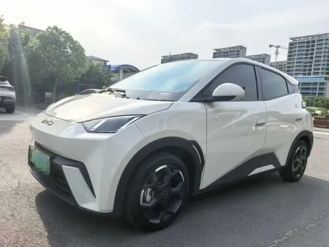 2025 BYD SEAGULL,autocango,china used car exporter,china ev exporter,chinese used car exporter,chinese used ev exporter