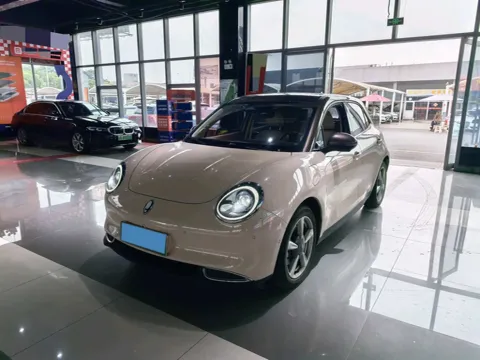 2021 ORA FUNKYCAT,autocango,china used car exporter,china ev exporter,chinese used car exporter,chinese used ev exporter