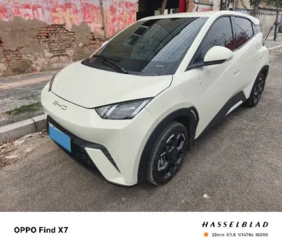 2023 BYD SEAGULL,autocango,china used car exporter,china ev exporter,chinese used car exporter,chinese used ev exporter