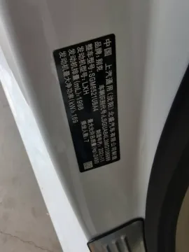 2022 Buick GL8 2.0T 237HP L4 9AT