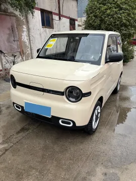 2025 GEELY GALAXY PANDA,autocango,china used car exporter,china ev exporter,chinese used car exporter,chinese used ev exporter