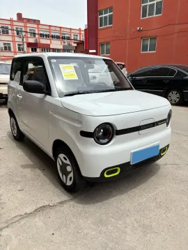2025 Geely Galaxy Panda BEV