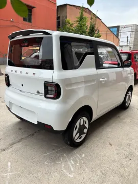 2025 Geely Galaxy Panda BEV