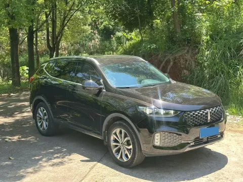 2020 WEY VV6 2.0T 227HP L4 7DCT