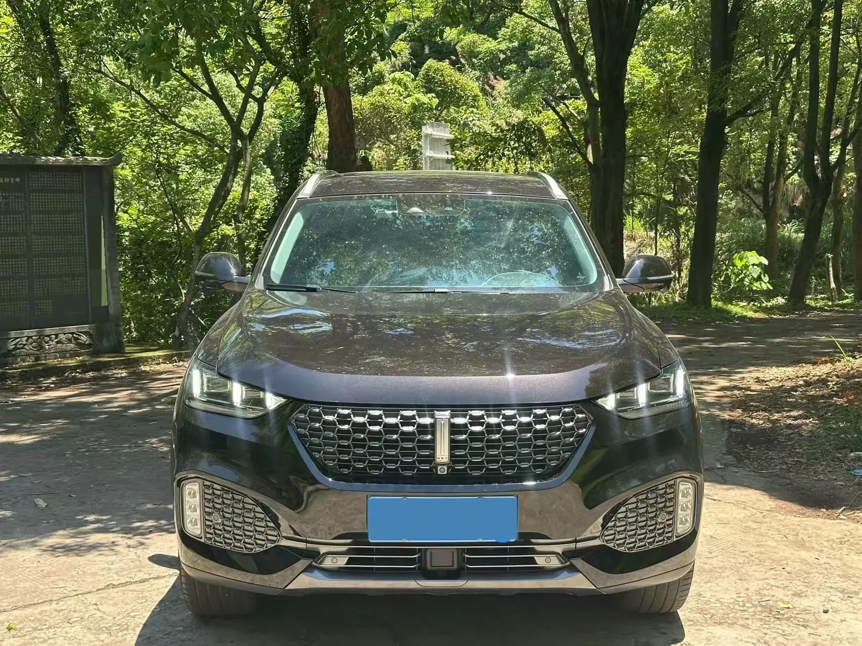 2020 WEY VV6 2.0T 227HP L4 7DCT,autocango,china used car exporter,china ev exporter,chinese used car exporter,chinese used ev exporter