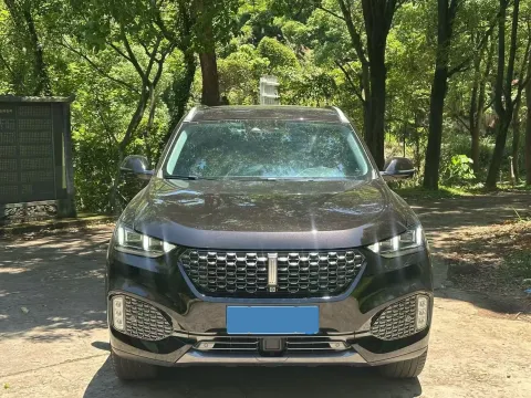 2020 WEY VV6 2.0T 227HP L4 7DCT
