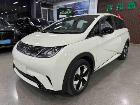 2025 BYD DOLPHIN,autocango,china used car exporter,china ev exporter,chinese used car exporter,chinese used ev exporter