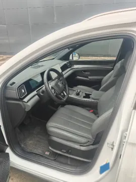 2025 BYD Song Pro 1.5L 101HP L4 E-CVT PHEV 18.3KWH