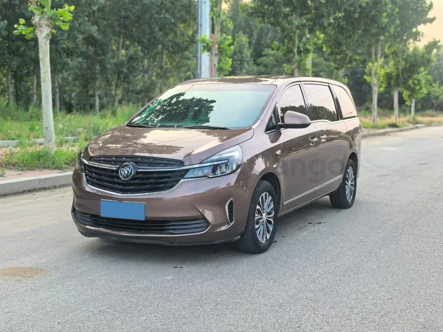 2022 Buick GL8 2.0T 237HP L4 9AT,autocango,china used car exporter,china ev exporter,chinese used car exporter,chinese used ev exporter