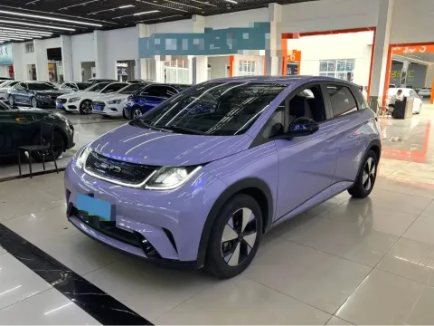 BYD