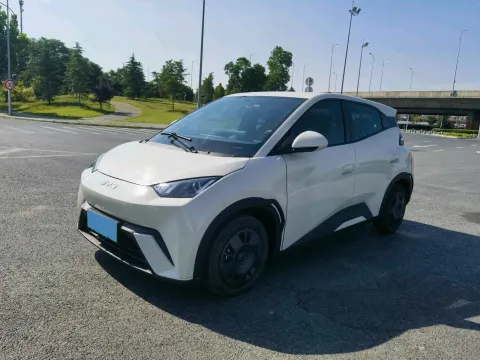2025 BYD SEAGULL,autocango,china used car exporter,china ev exporter,chinese used car exporter,chinese used ev exporter