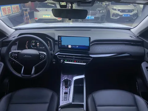 2022 Haval Rabbit 1.5T 150HP L4 7DCT
