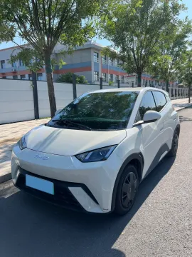 2024 BYD SEAGULL,autocango,china used car exporter,china ev exporter,chinese used car exporter,chinese used ev exporter